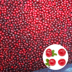 Moroz NSK предлагает купить бруснику. Продажа продуктов с доставкой, большой выбор деликатесов на выгодных условиях. Оформите заказ на сайте!