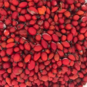 Шиповник таежный замороженный, 0.5 кг - 235 р. Наш телефон: 8 (995)010-54-34. Moroz NSK осуществляет доставку замороженных продуктов на дом по Новосибирску. Широкий ассортимент продуктов питания в замороженном виде.