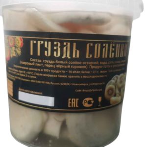 Груздь соленый